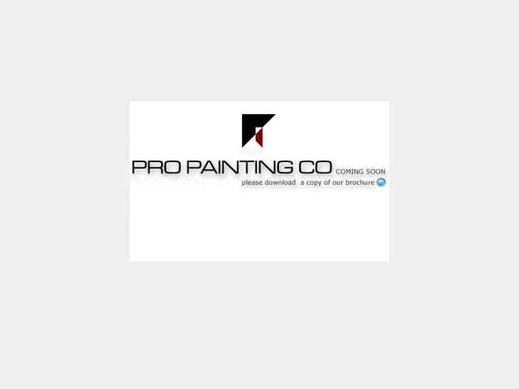 www.pro-paintingco.com