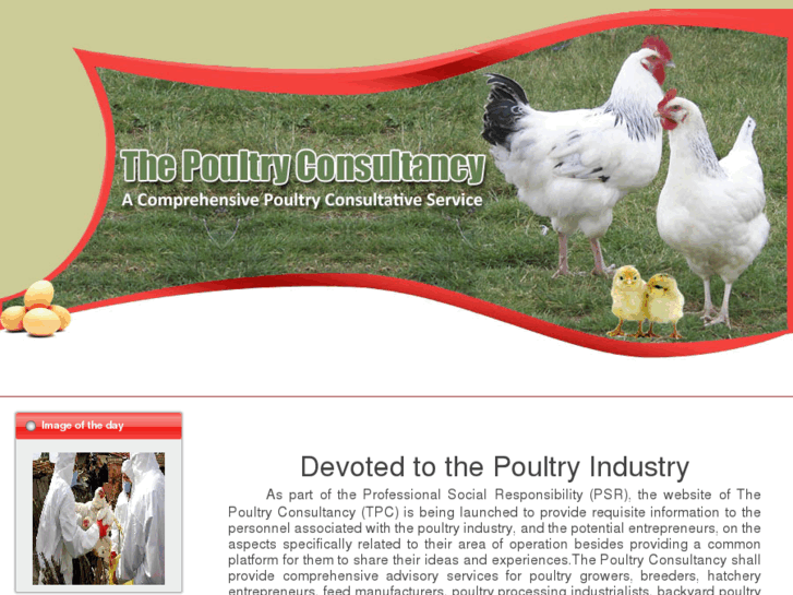 www.thepoultryconsultancy.com