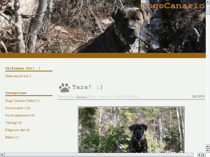 www.canariodogs.com