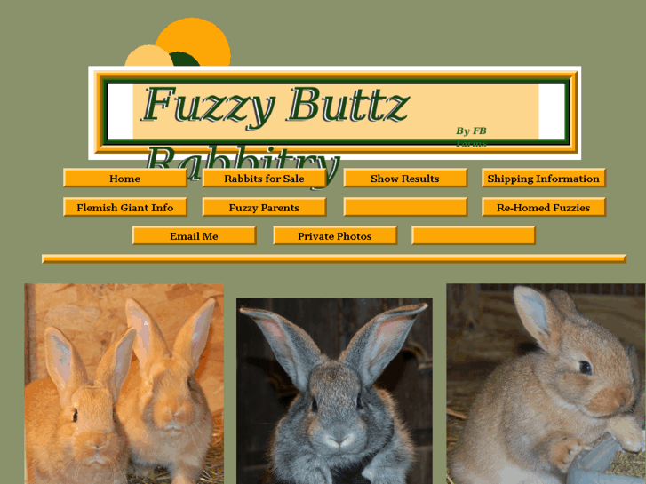 www.fuzzybuttzrabbitry.com