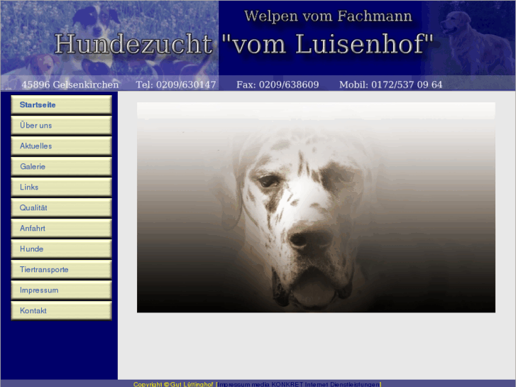 www.hundekauf-online.de