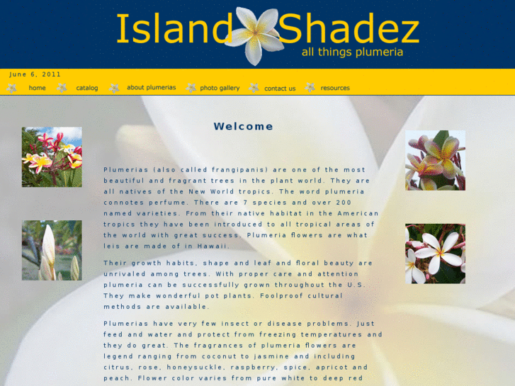 www.islandshadez.com