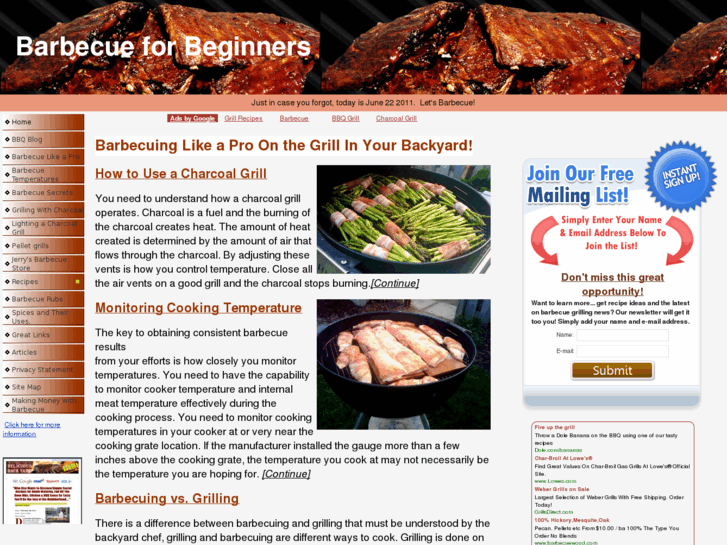 www.barbecueforbeginners.com