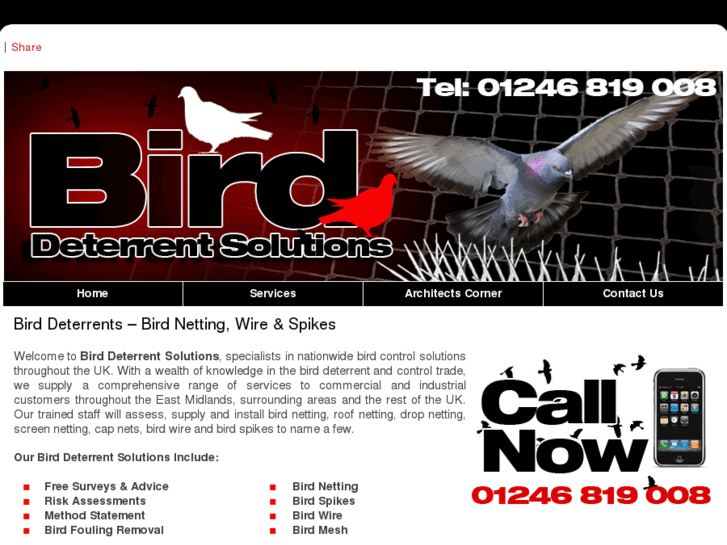 www.birddeterrentsolutions.com