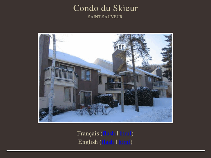 www.condo-saint-sauveur.com