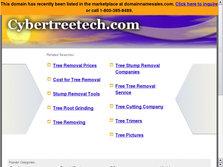 www.cybertreetech.com