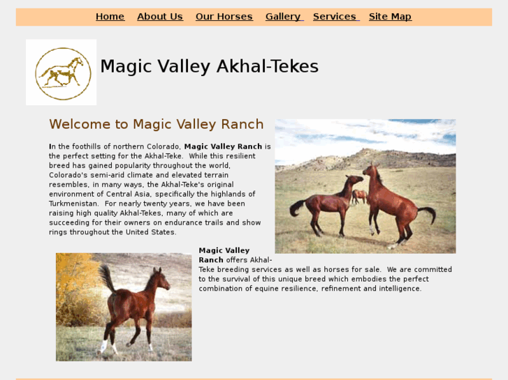 www.magicvalleyakhal-tekes.info