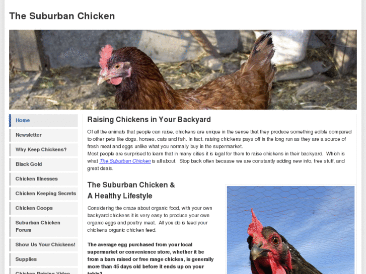 www.thesuburbanchicken.com