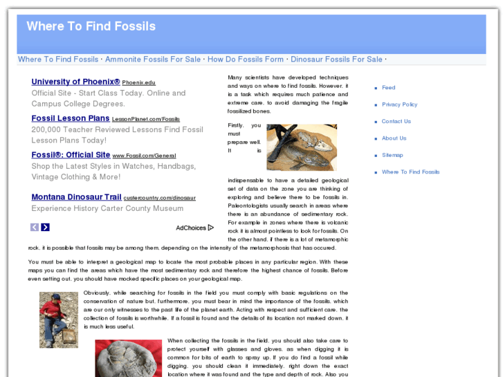 www.wheretofindfossils.com
