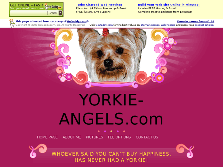 www.yorkie-angels.com