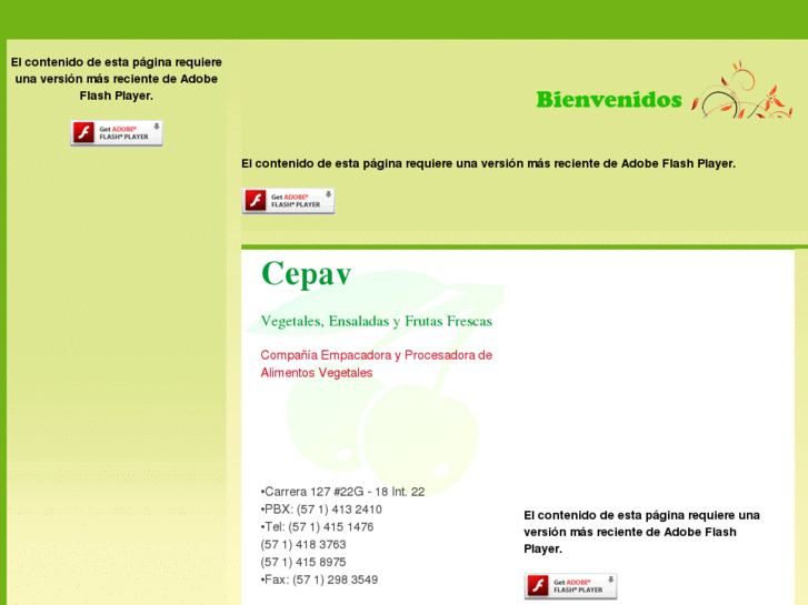 www.cepav.com