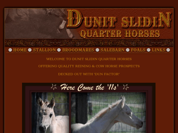 www.dunitslidinquarterhorses.com