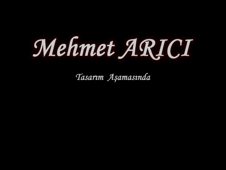 www.mehmetarici.com