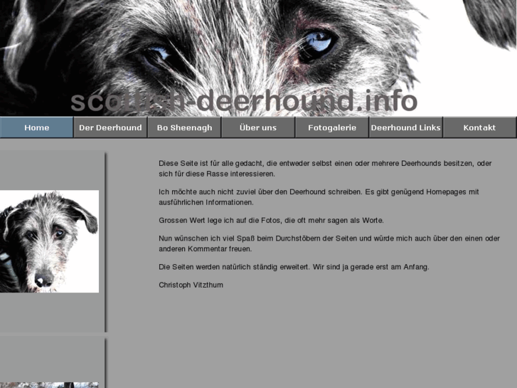 www.scottish-deerhound.info