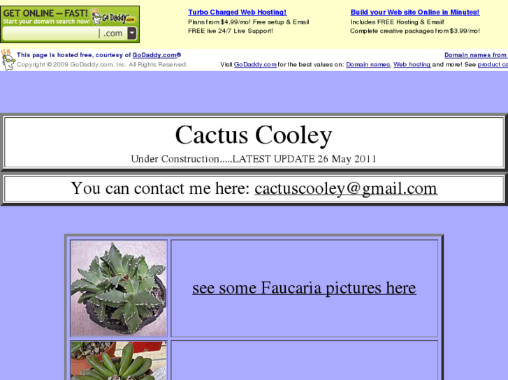 www.cactuscooley.com