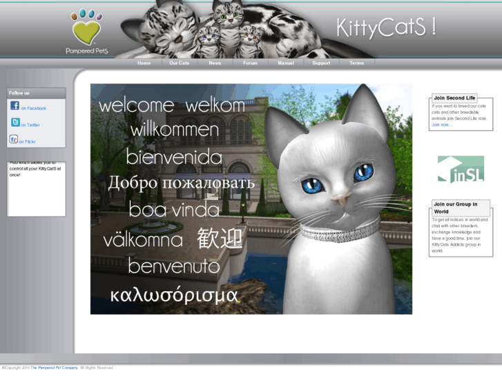 www.kittycats.biz