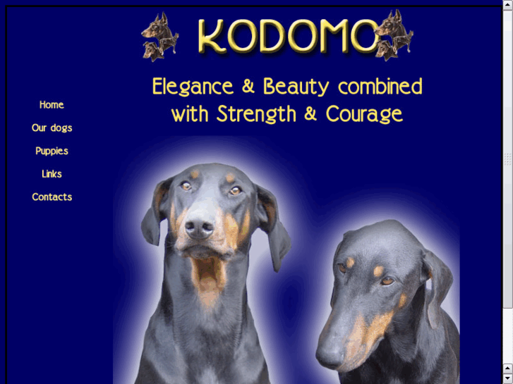 www.kodomo.co.uk