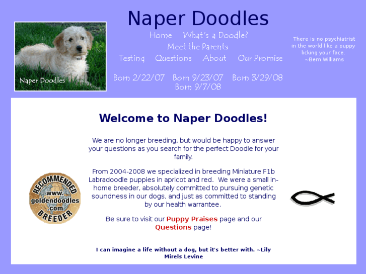 www.naperdoodles.com