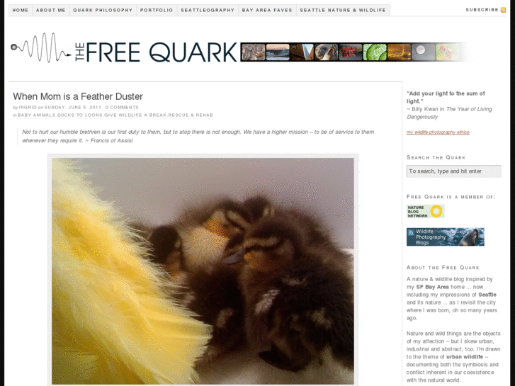 www.thefreequark.com