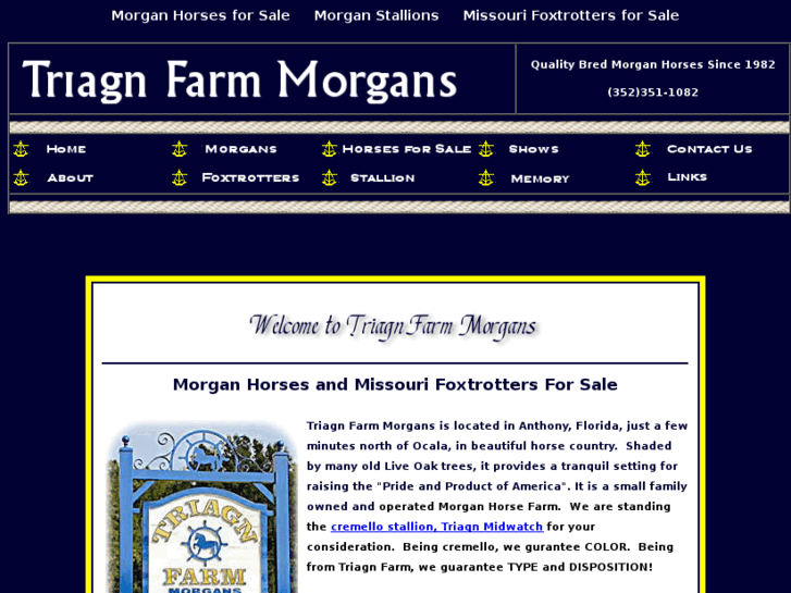 www.triagnfarmmorgans.com