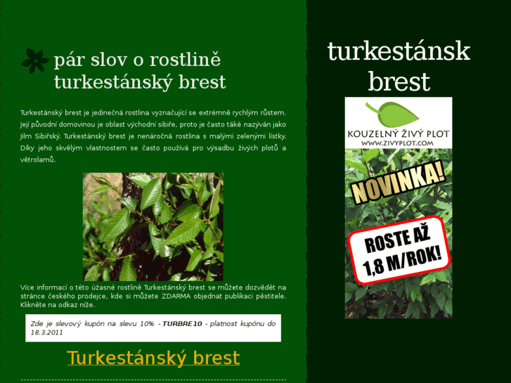 www.turkestanskybrest.cz