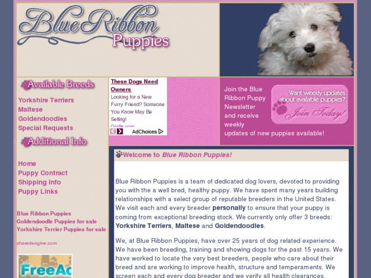 www.blueribbonpuppies.com