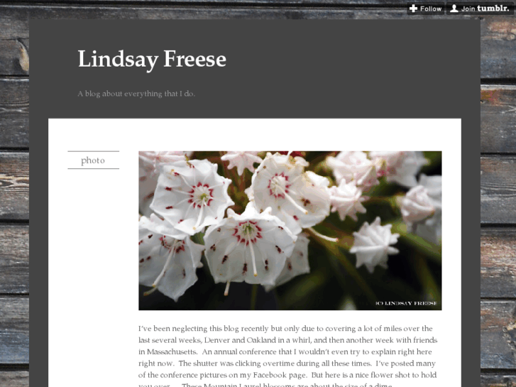 www.lindsayfreese.com