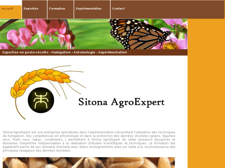 www.sitona-agroexpert.com