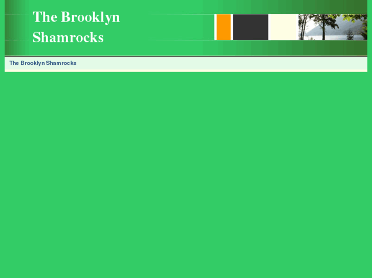 www.thebrooklynshamrocks.com