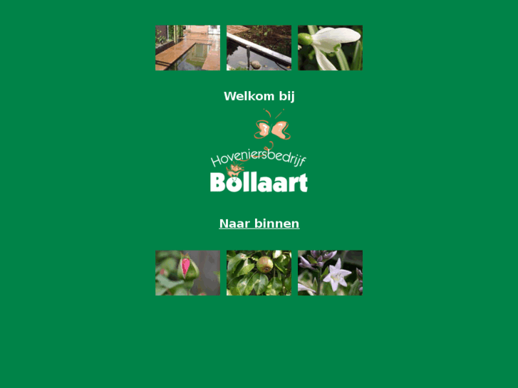 www.bollaart.net