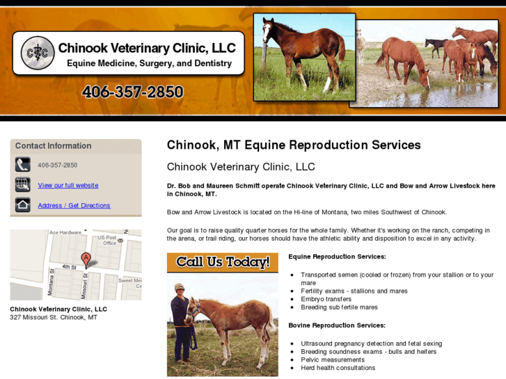 www.chinookveterinaryclinic.com