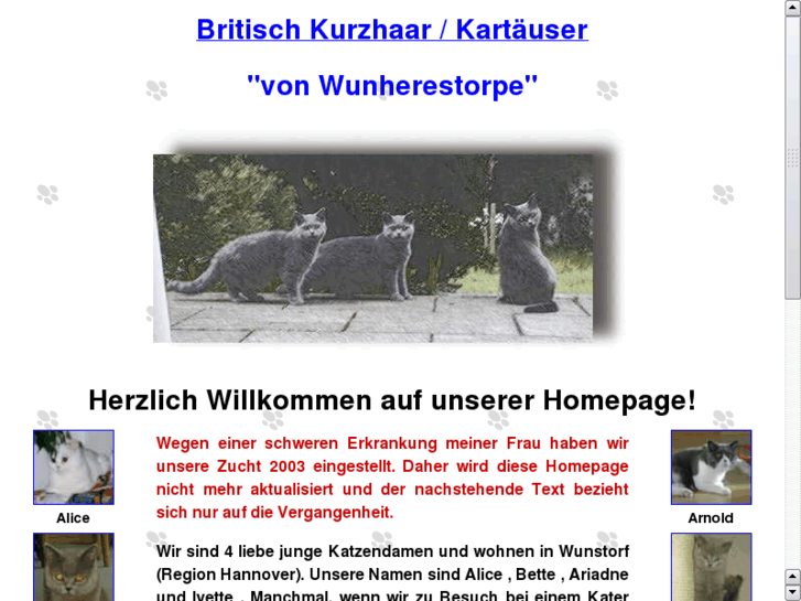 www.muenzenberg.com