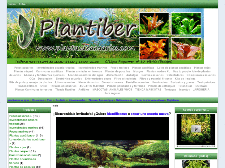 www.plantasdeacuarios.com