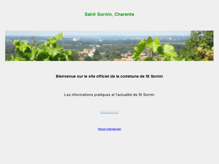 www.saint-sornin.com