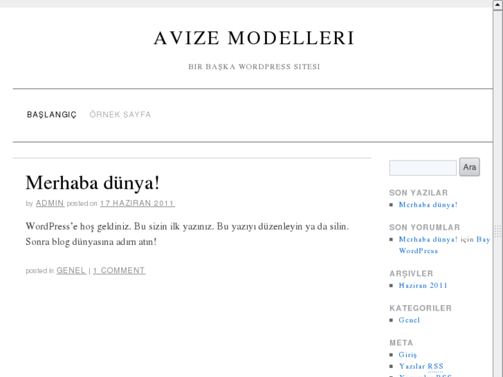 www.avizemodelleri.net