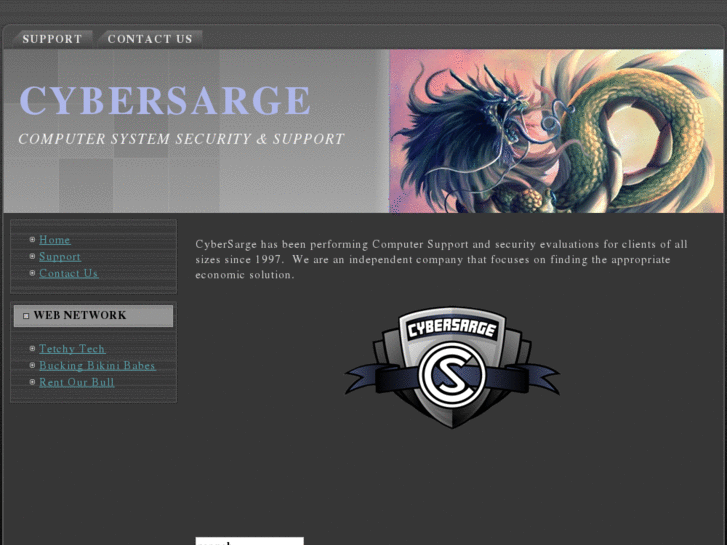 www.cybersarge.com