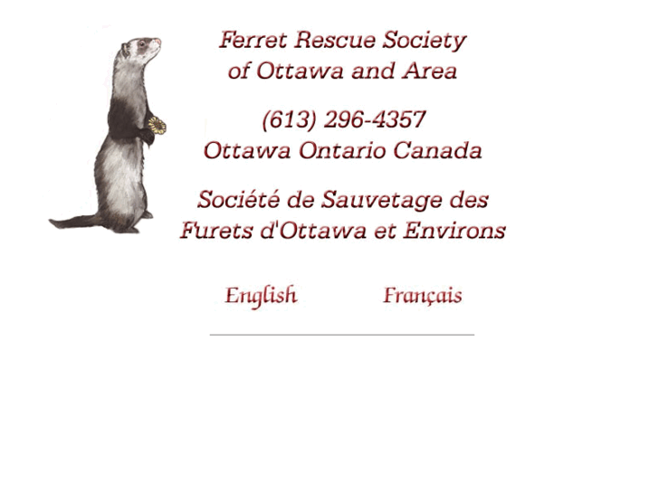 www.ferretrescue.ca