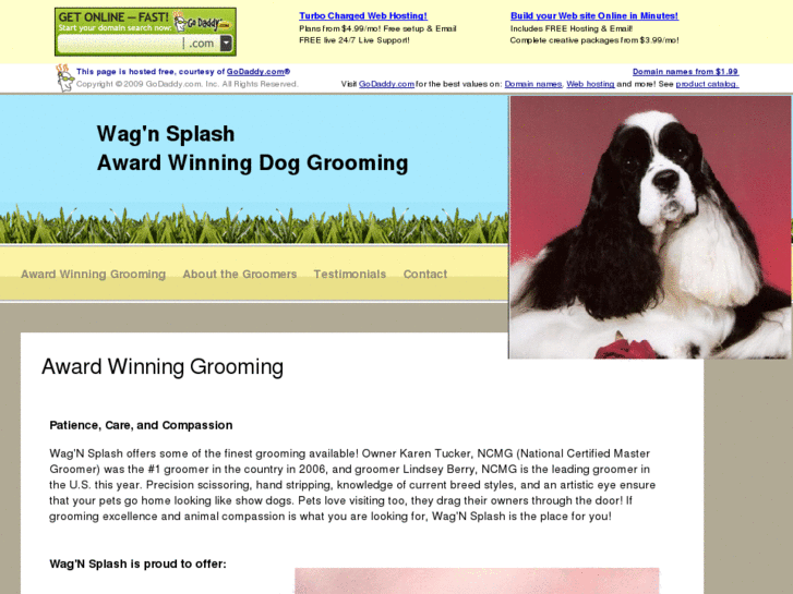 www.wagnsplash.com