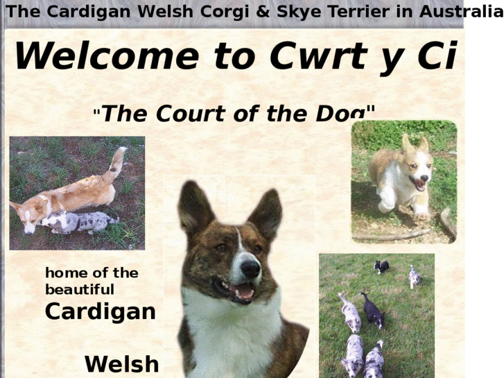 www.cwrtyci-cardigan-corgi.com