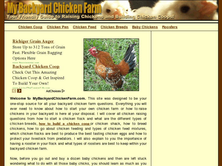 www.mybackyardchickenfarm.com