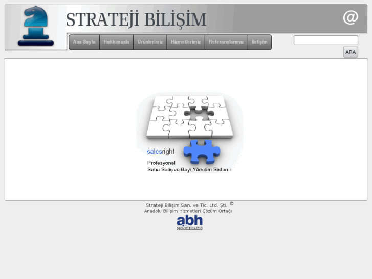 www.stratejibilisim.com