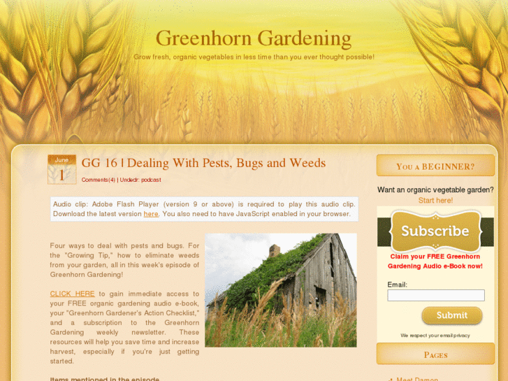 www.greenhorngardening.com