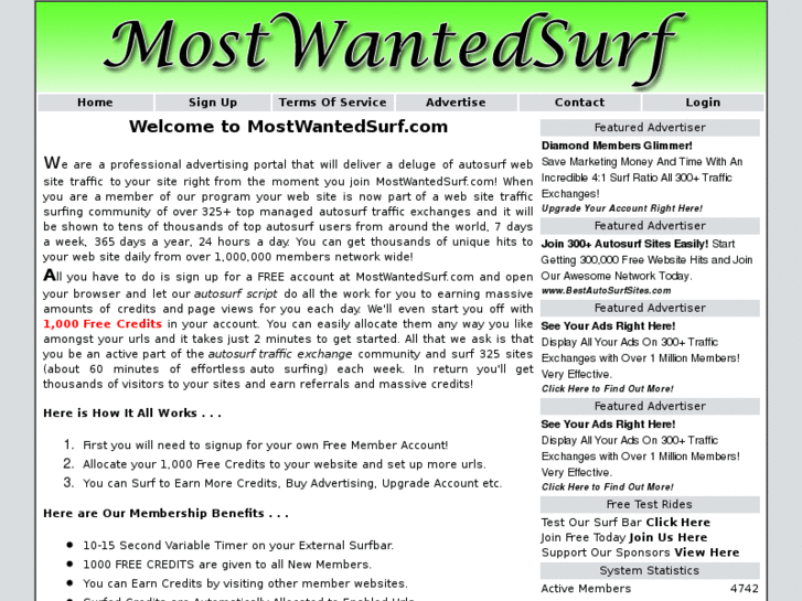 www.mostwantedsurf.com