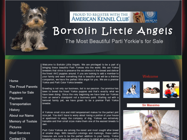 www.bortolinangels.com