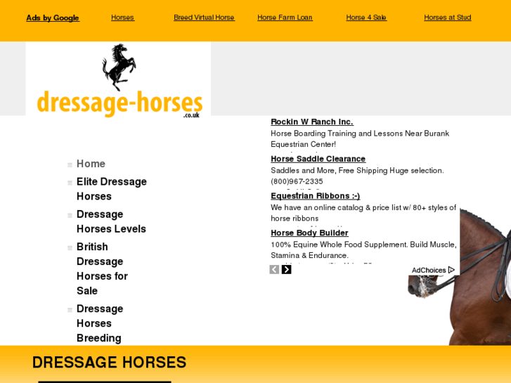 www.dressage-horses.co.uk