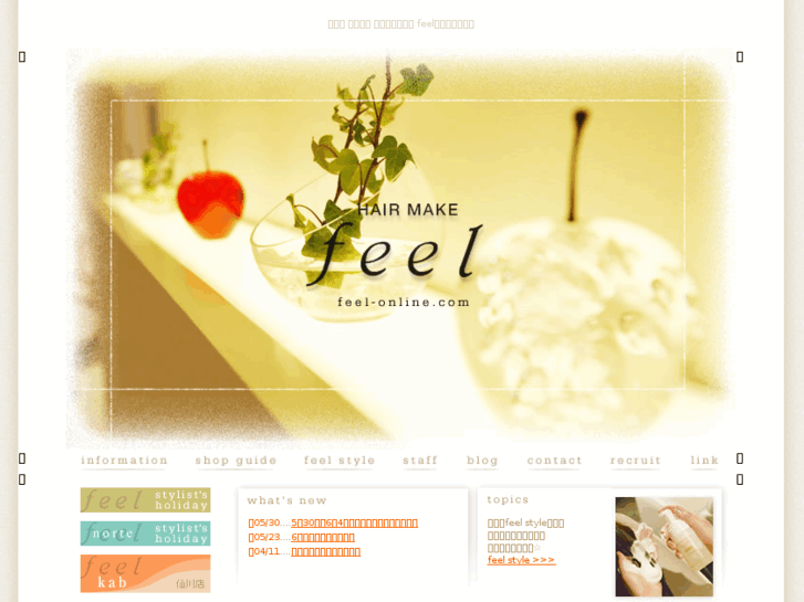 www.feel-online.com