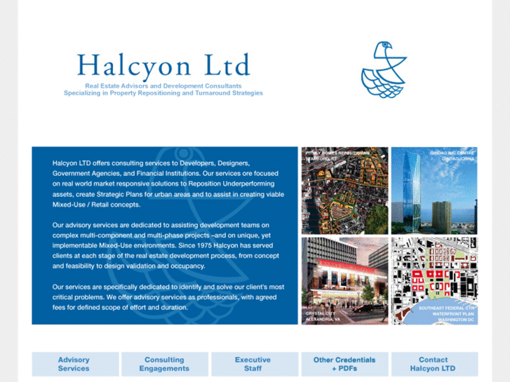 www.halcyonltd.com