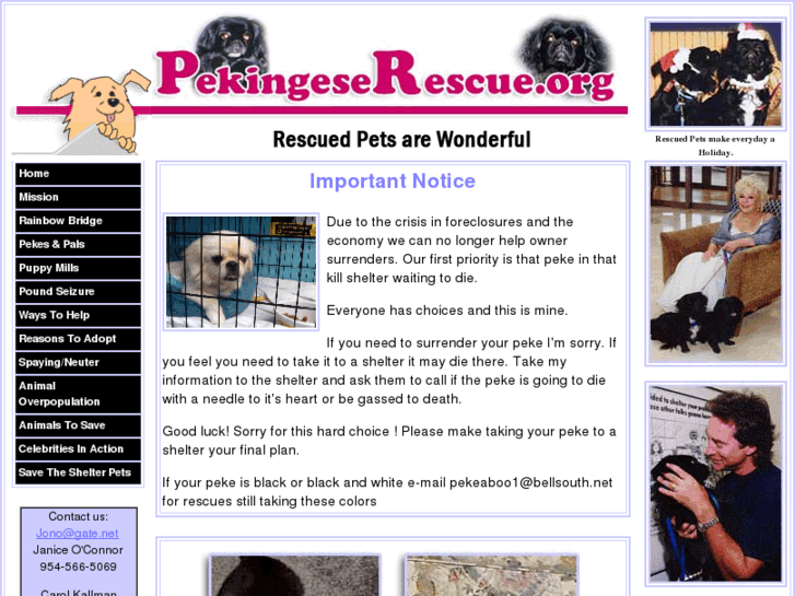 www.pekingeserescue.com