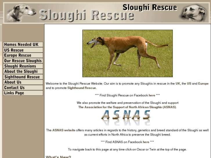 www.sloughi-rescue.org