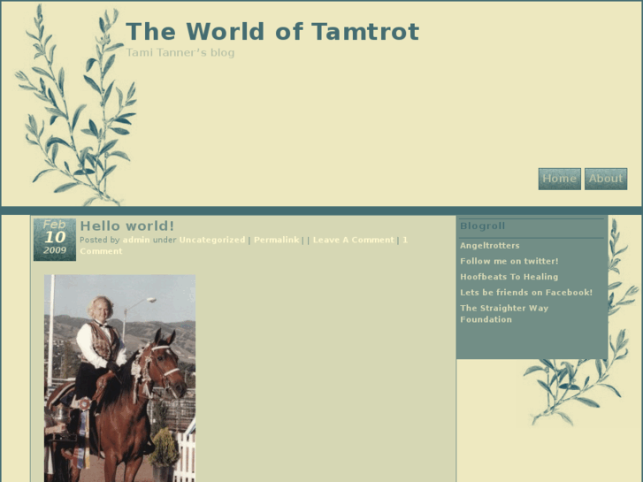 www.tamtrot.com